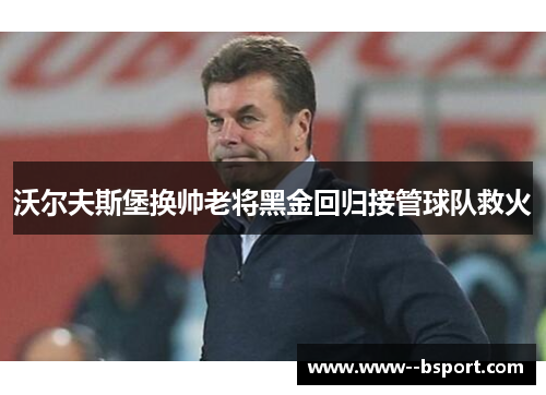 沃尔夫斯堡换帅老将黑金回归接管球队救火 沃尔夫斯堡换帅老将黑金回归接管球队救火